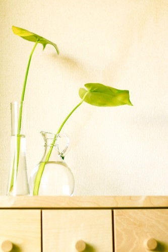 画像に alt 属性が指定されていません。ファイル名: お花.jpg